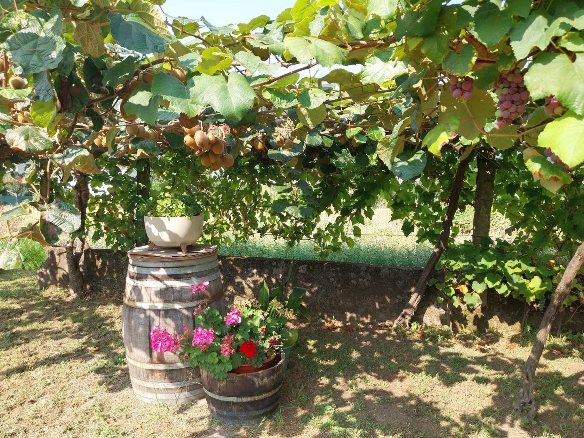 O Berce Padron Casa Rural Luaran gambar